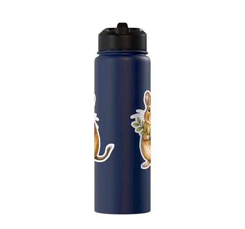 Degu With Leafy Branch Stainless Steel Insulated Water Bottle - color: Navy Blue