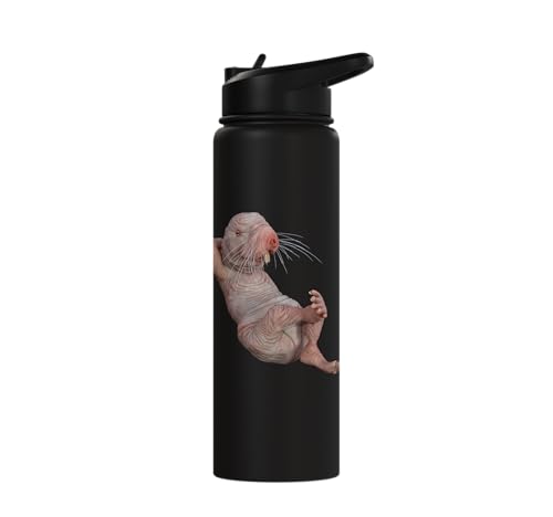 I Just Really Like Naked Moles Ok? Funny Naked Mole Rat Stainless Steel Insulated Water Bottle - color: Black