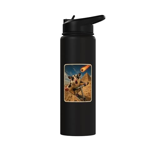 Funny Sugar Glider Riding Scooter Stainless Steel Insulated Water Bottle - color: Black