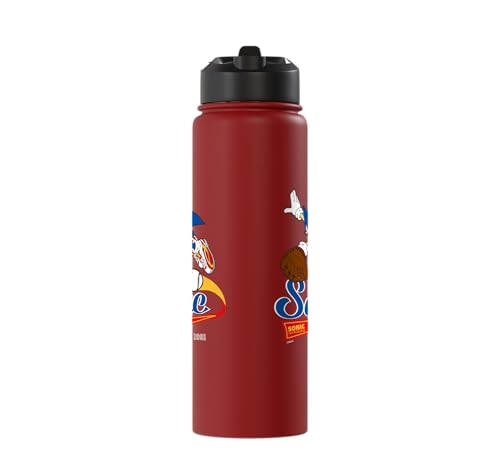 Sonic the Hedgehog - Sonic Baseball Est. 1991 Stainless Steel Insulated Water Bottle - color: Red