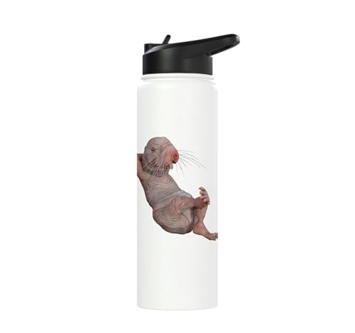 I Just Really Like Naked Moles Ok? Funny Naked Mole Rat Stainless Steel Insulated Water Bottle - color: White