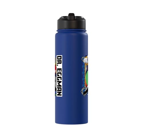Sonic the Hedgehog - In the Zone - Dr. Eggman Stainless Steel Insulated Water Bottle - color: Royal Blue
