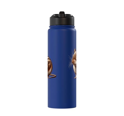 Degu Design Stainless Steel Insulated Water Bottle - color: Royal Blue
