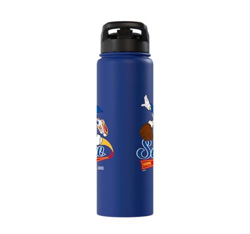 Sonic the Hedgehog - Sonic Baseball Est. 1991 Stainless Steel Insulated Water Bottle - color: Royal Blue