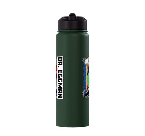 Sonic the Hedgehog - In the Zone - Dr. Eggman Stainless Steel Insulated Water Bottle - color: Dark Green