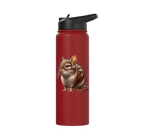 Degu Design Stainless Steel Insulated Water Bottle - color: Red