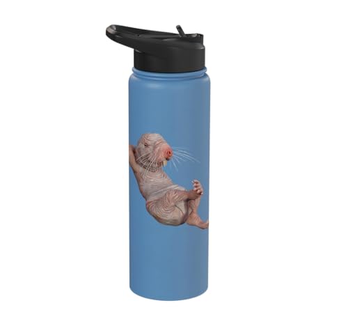 I Just Really Like Naked Moles Ok? Funny Naked Mole Rat Stainless Steel Insulated Water Bottle - color: Light Blue
