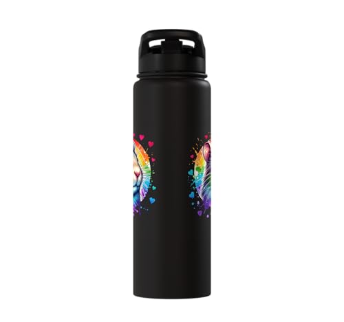 Degu Stainless Steel Insulated Water Bottle - color: Black