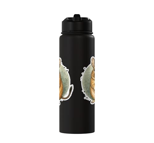 Degu Watercolor Circle Stainless Steel Insulated Water Bottle - color: Black