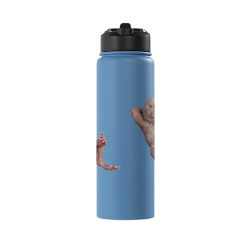 I Just Really Like Naked Moles Ok? Funny Naked Mole Rat Stainless Steel Insulated Water Bottle - color: Light Blue