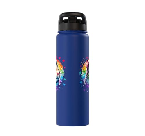 Degu Stainless Steel Insulated Water Bottle - color: Royal Blue