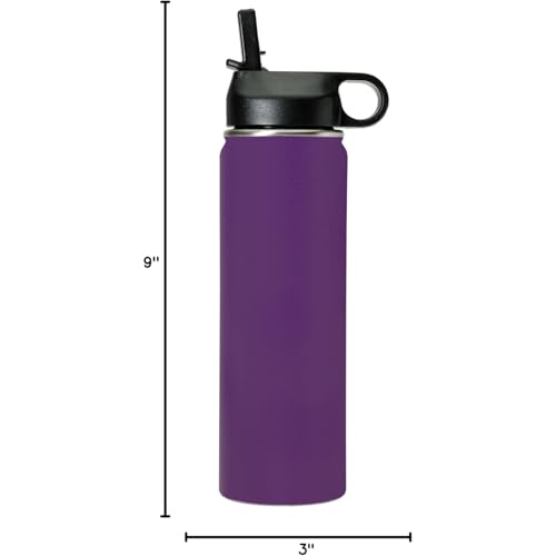 LaserGram Personalized 20oz Water Bottle, Snail (Dark Purple) | Engraved Gift, Vacuum Insulated Stainless Steel, Flip-Top Straw Lid, Laser Engraved With Your Name - color: Dark Purple, size: 20 Ounces