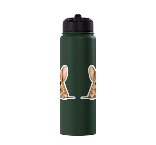 Peeking Degu Stainless Steel Insulated Water Bottle - color: Dark Green