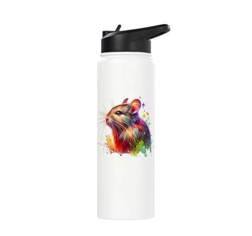 Degu Stainless Steel Insulated Water Bottle - color: White