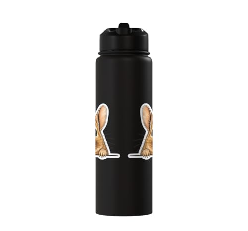 Peeking Degu Stainless Steel Insulated Water Bottle - color: Black