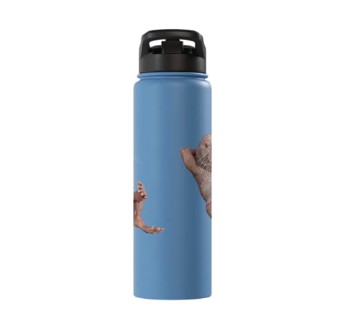 I Just Really Like Naked Moles Ok? Funny Naked Mole Rat Stainless Steel Insulated Water Bottle - color: Light Blue