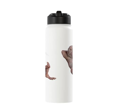 I Just Really Like Naked Moles Ok? Funny Naked Mole Rat Stainless Steel Insulated Water Bottle - color: White
