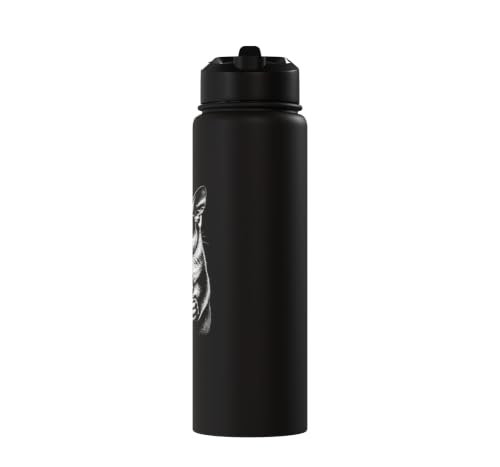 Funny Sugar Glider Drinking Iced Coffee Stainless Steel Insulated Water Bottle - color: Black
