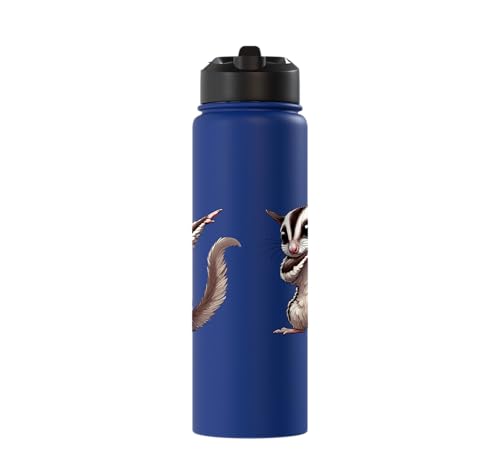 Sugar Glider, Dabbing | Kids, Girls, Boys | Sugar Glider Stainless Steel Insulated Water Bottle - color: Royal Blue