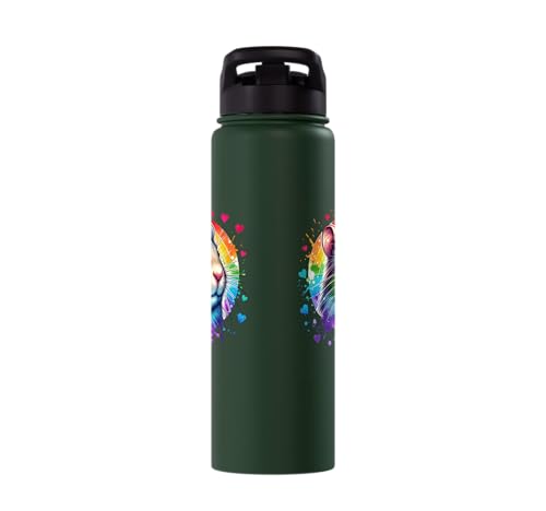 Degu Stainless Steel Insulated Water Bottle - color: Dark Green