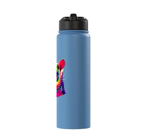 Colorful Pop Art Sugar Glider Sugar Gliders Stainless Steel Insulated Water Bottle - color: Light Blue