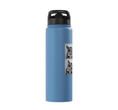 Sugar Glider 4th of July US American Flag Patriotic Stainless Steel Insulated Water Bottle - color: Light Blue