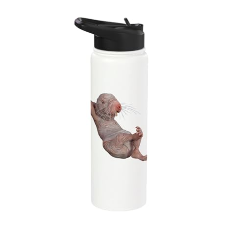 I Just Really Like Naked Moles Ok? Funny Naked Mole Rat Stainless Steel Insulated Water Bottle - color: White