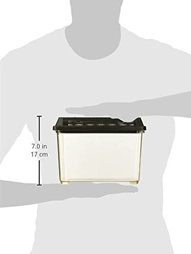 Exo Terra Faunarium Small PT2255 – Plastic Reptile Terrarium and Transport Container for Lizards, Spiders & Amphibians (Pack of 2) - size: Small (Pack of 2)