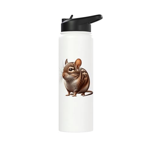 Degu Design Stainless Steel Insulated Water Bottle - color: White