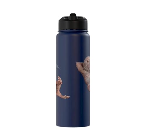 I Just Really Like Naked Moles Ok? Funny Naked Mole Rat Stainless Steel Insulated Water Bottle - color: Navy Blue