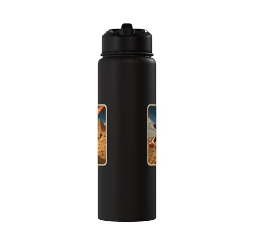 Funny Sugar Glider Riding Scooter Stainless Steel Insulated Water Bottle - color: Black