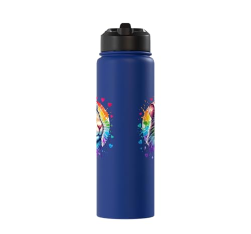 Degu Stainless Steel Insulated Water Bottle - color: Royal Blue