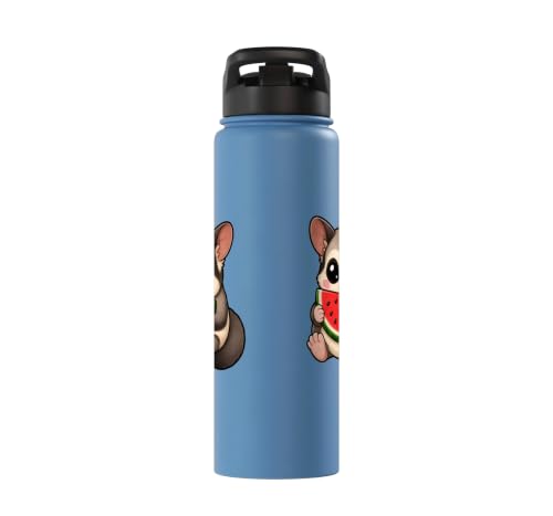 Cute Sugar Glider Summer Cartoon with Watermelon Stainless Steel Insulated Water Bottle - color: Light Blue