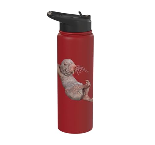 I Just Really Like Naked Moles Ok? Funny Naked Mole Rat Stainless Steel Insulated Water Bottle - color: Red