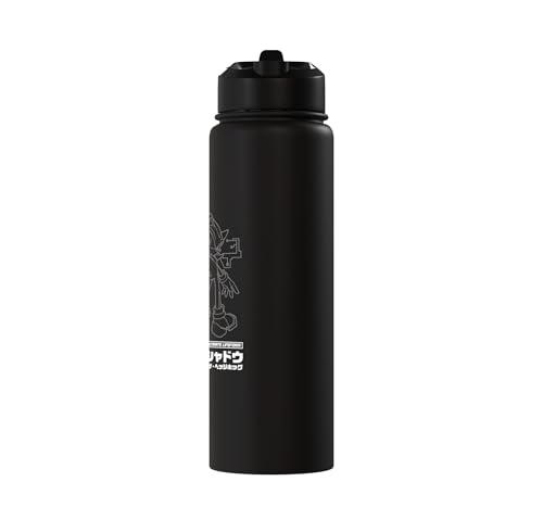 Sonic the Hedgehog Shadow Red Strike Action Pose Stainless Steel Insulated Water Bottle