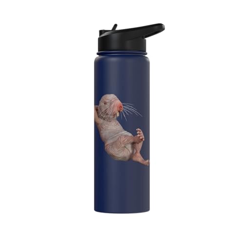 I Just Really Like Naked Moles Ok? Funny Naked Mole Rat Stainless Steel Insulated Water Bottle - color: Navy Blue