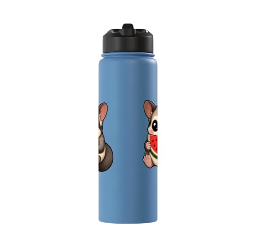 Cute Sugar Glider Summer Cartoon with Watermelon Stainless Steel Insulated Water Bottle - color: Light Blue