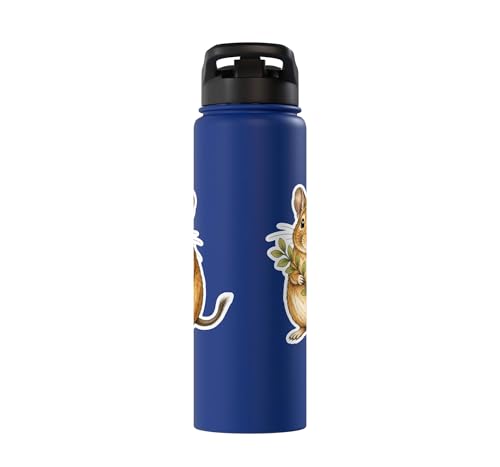 Degu With Leafy Branch Stainless Steel Insulated Water Bottle - color: Royal Blue
