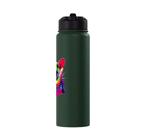 Colorful Pop Art Sugar Glider Sugar Gliders Stainless Steel Insulated Water Bottle - color: Dark Green