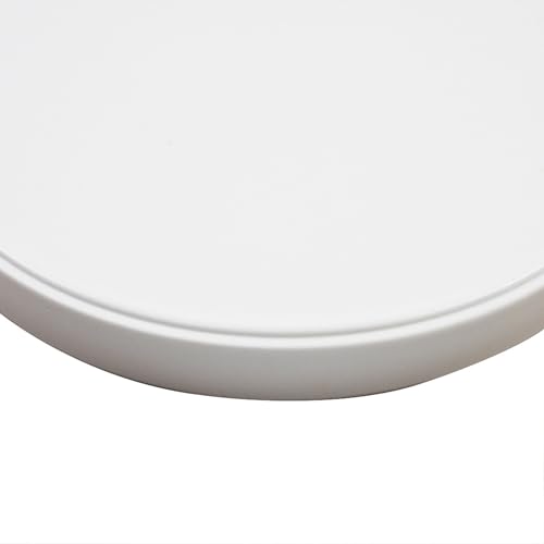 OMEM Reptile Food Bowl Water Dish,Feeding Dish, Birds Bowl (M, White) - color: White, size: Medium