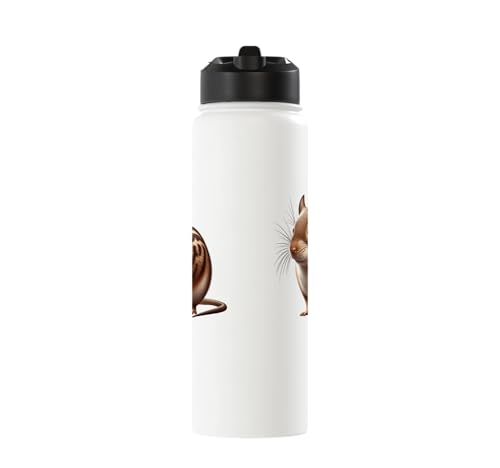 Degu Design Stainless Steel Insulated Water Bottle - color: White