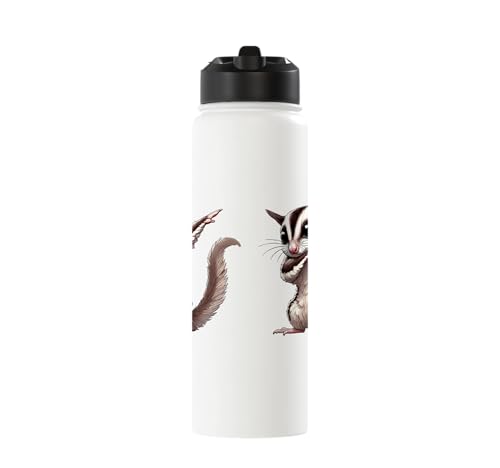 Sugar Glider, Dabbing | Kids, Girls, Boys | Sugar Glider Stainless Steel Insulated Water Bottle - color: White