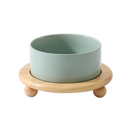 Havniva Raised Cat Bowl 6.1” Elevated Ceramic Cat Food and Water Bowl | Cat Bowls Elevated, Whisker Friendly Cat Bowl, Non-Slip Wood Stand, Food-Grade Ceramic, Wide Opening, Dishwasher Safe - color: 1 x Bowl + Stand - Light Green, size: 6.1inch