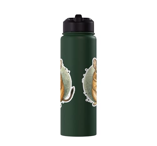 Degu Watercolor Circle Stainless Steel Insulated Water Bottle - color: Dark Green