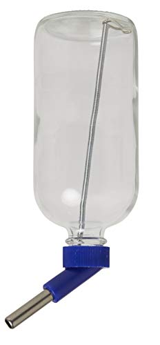 Lixit Glass Water Bottles for Small Animals and Birds (16oz), Clear (COMINHKR016337) (Pack of 2) - size: 16oz (Pack of 2)