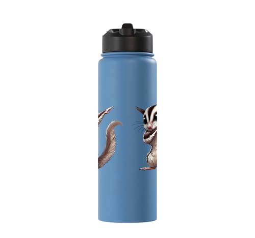 Sugar Glider, Dabbing | Kids, Girls, Boys | Sugar Glider Stainless Steel Insulated Water Bottle - color: Light Blue
