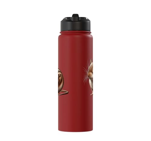 Degu Design Stainless Steel Insulated Water Bottle - color: Red
