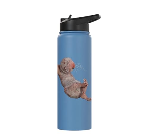 I Just Really Like Naked Moles Ok? Funny Naked Mole Rat Stainless Steel Insulated Water Bottle - color: Light Blue