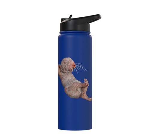 I Just Really Like Naked Moles Ok? Funny Naked Mole Rat Stainless Steel Insulated Water Bottle - color: Royal Blue