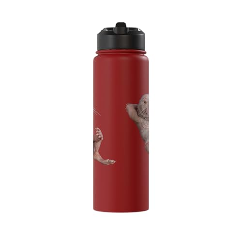 I Just Really Like Naked Moles Ok? Funny Naked Mole Rat Stainless Steel Insulated Water Bottle - color: Red